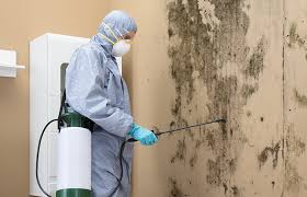 Best Real Estate Mold Inspection  in Chilton, WI